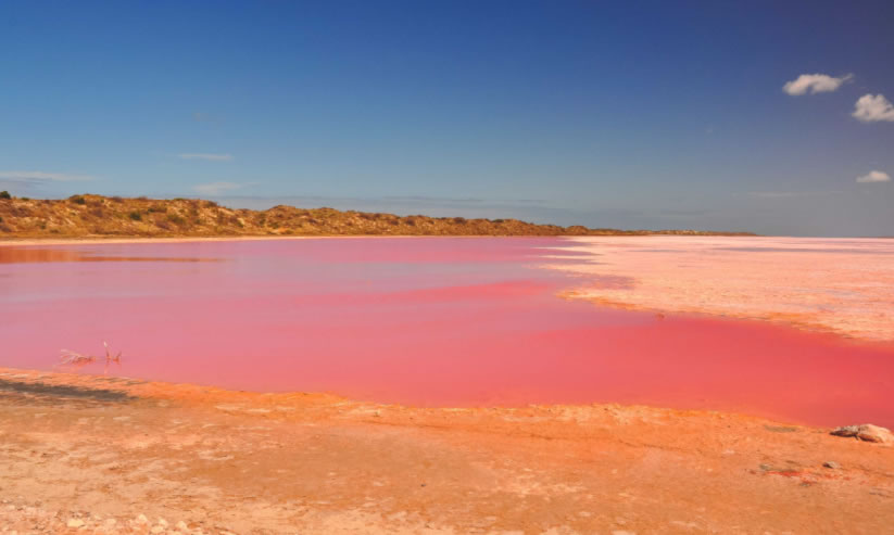 G’day西澳 粉红湖出海抓龙虾尝鲜6日